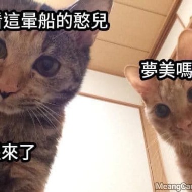 饒舌