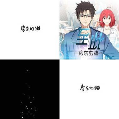 房東的貓