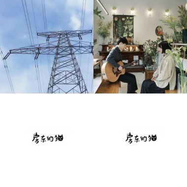 房東的貓