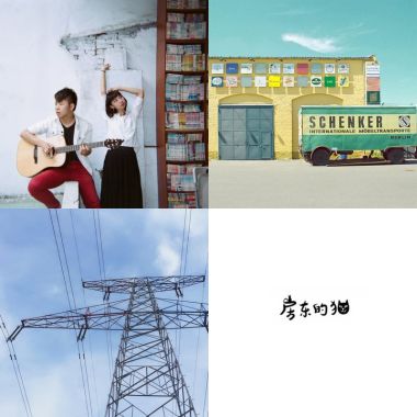 開房間趴貓