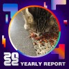 2022 個人年度精選