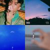 餡