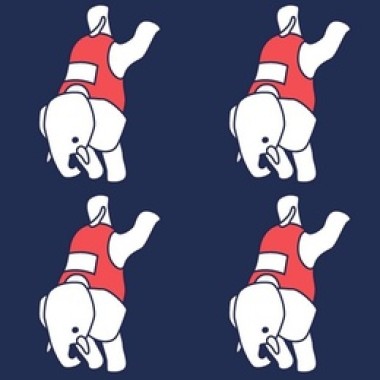 大象體操Elephant Gym