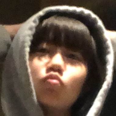 狗狗們的愛歌