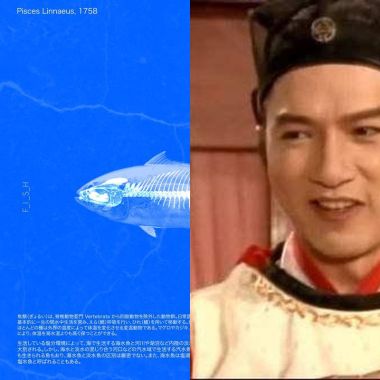 喜歡的歌