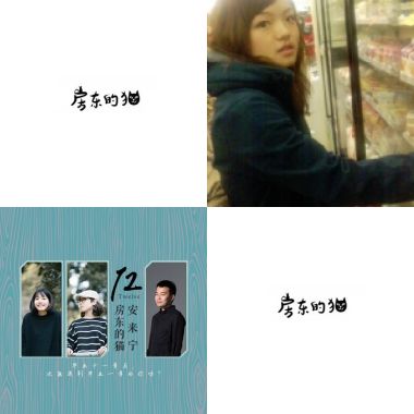 貓