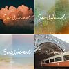 Seaweed 藻