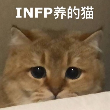 我的歌单 1