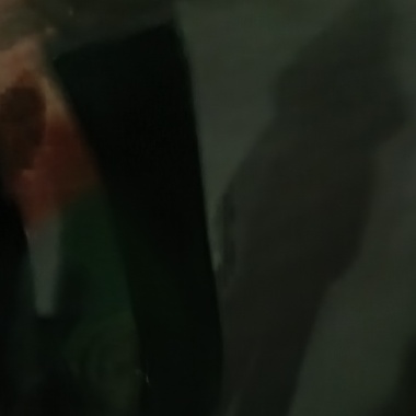 魚缸晃晃晃晃