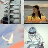我的歌單 1
