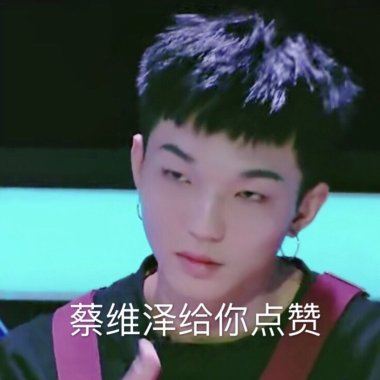 傻子和白痴