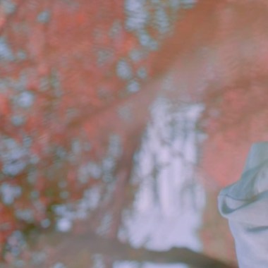 《Wonderland》