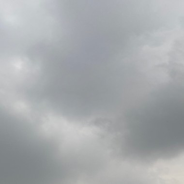 该下雨了拜托?
