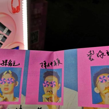 是椅子乐团哇