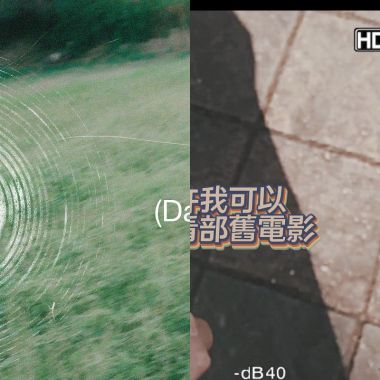 隨遇而安