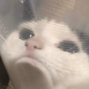 星期五