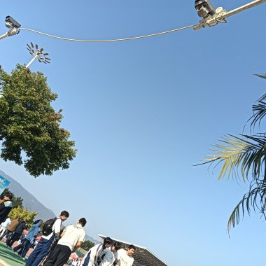什么颜色