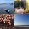 海雅谷慕地下头目