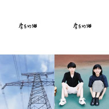 房東的貓