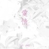 Soft Ballad