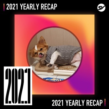 2021 個人年度精選之最
