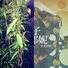 小清新電子音樂