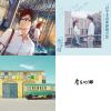 房東的貓