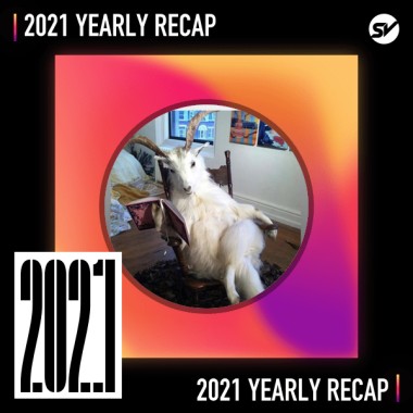 2021 個人年度精選之最