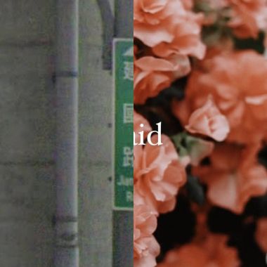 情歌