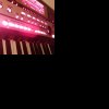 輕音樂(有演唱)