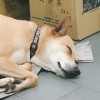 一席之地