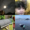 败絮的自我净化方式