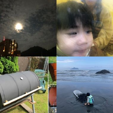 败絮的自我净化方式