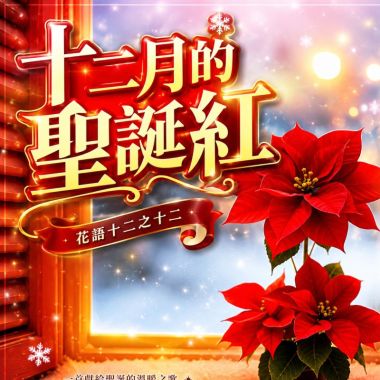 播放