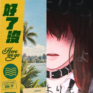 每日收藏