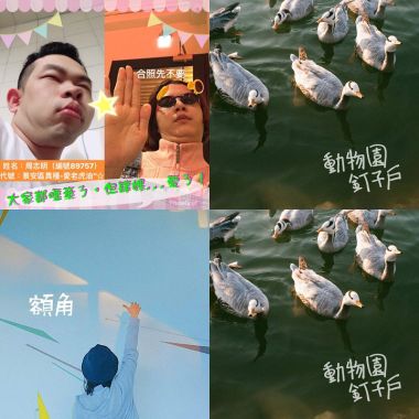 有病、可愛、好聽！