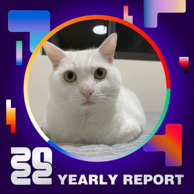 2022 個人年度精選