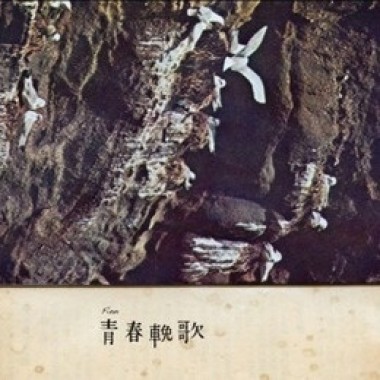 Finn-青春輓歌
