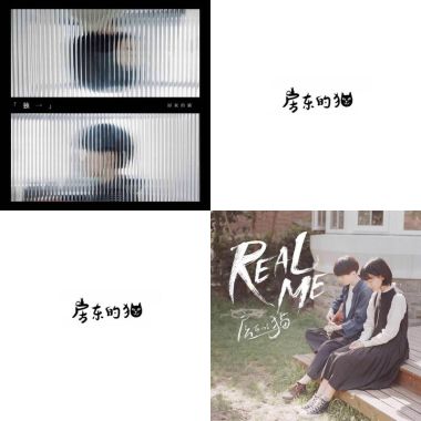 貓