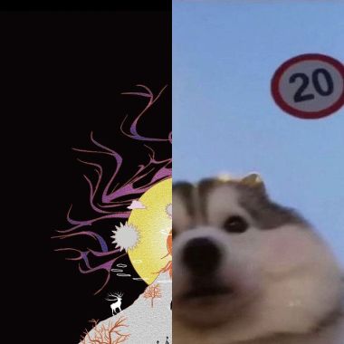 好暈好暈