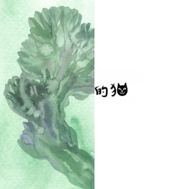 我的歌單  