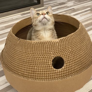 測試歌單