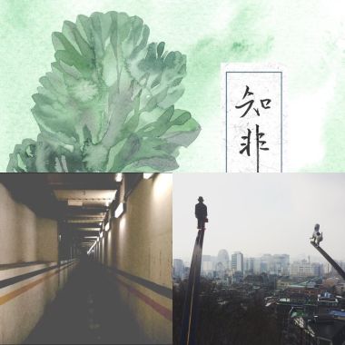 我的歌單  