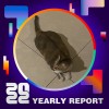 2022 個人年度精選