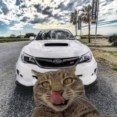 啥
