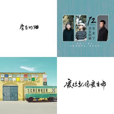 貓