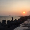夜晚的人