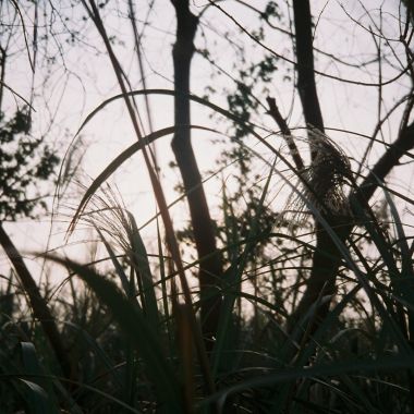 我執