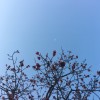 平常