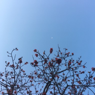 平常
